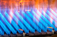 Oape gas fired boilers